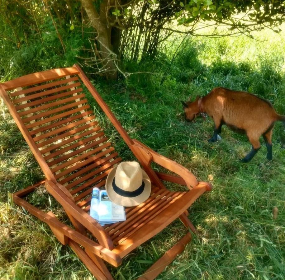 Casa Rural Lineiros Muxia Dış mekan fotoğraf